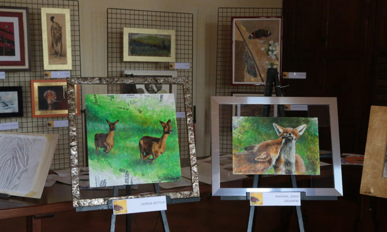 “Animali & co.” degli artisti Ambra Mondino e Silverio Edel