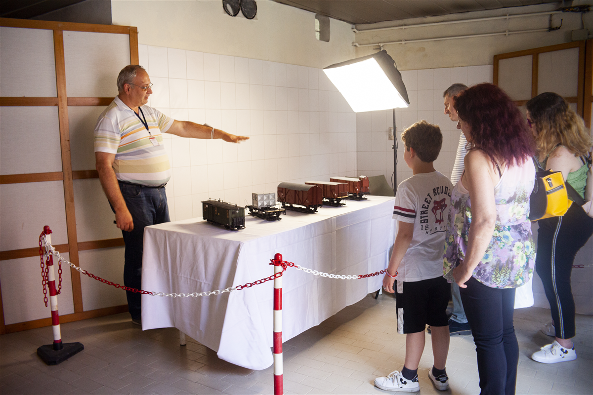 Treni e modellismo: passione di una vita